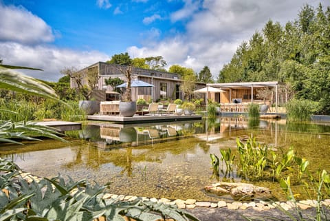 The natural swimming pond at Olive Orchard, Cotswolds