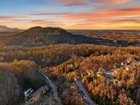 Stunning aerial view of the rolling hills and lush forest surrounding the property.