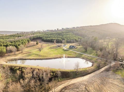 Scenic Retreat: Embrace nature's beauty by the tranquil pond and lush greenery!