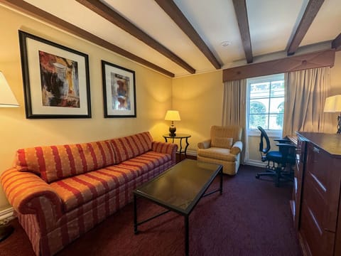 Stretch out on the sofa and savor soft natural light.