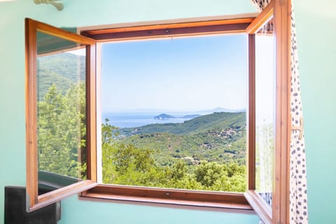 Domu de Zita in Poggio Apartment in Tuscany