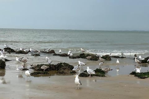 Immediate Surroundings [summer] (<1 km)