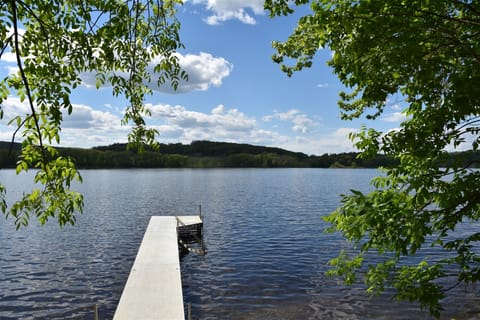 Loon Call