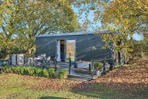 Molly Mod, Marsham - Host & Stay