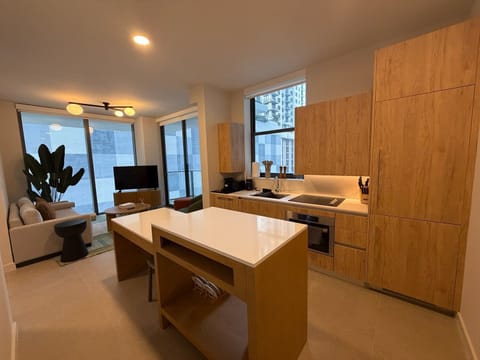 Comfort Apartment, 2 Bedrooms, City View | Private kitchen
