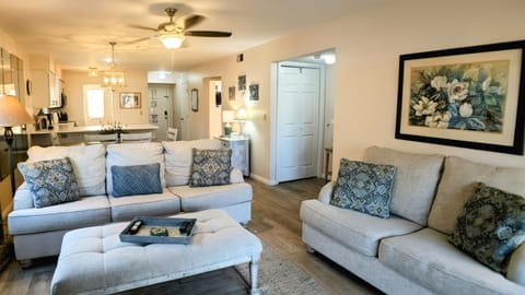 Living area with sleeper sofa