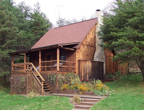 Summer front of cabin