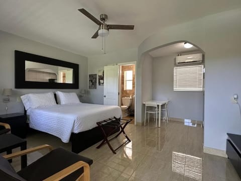 Studio, Pool View | Blackout drapes, iron/ironing board, free WiFi