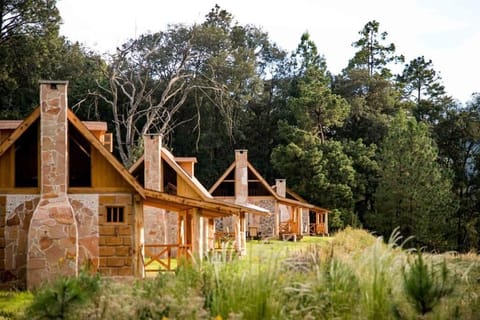 Classic Cabin, Mountain View | Exterior