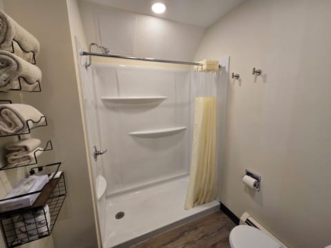 Standard Room, 1 King Bed, Mobility Accessible, Lake View | Bathroom | Combined shower/tub, free toiletries, hair dryer, towels