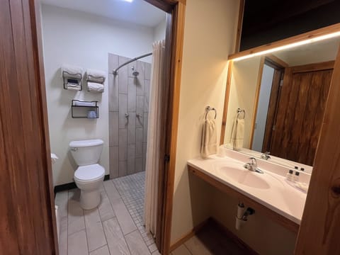 Deluxe Room, 1 King Bed, Balcony, Lake View | Bathroom | Combined shower/tub, free toiletries, hair dryer, towels