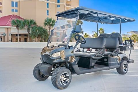 6 Seat Cart