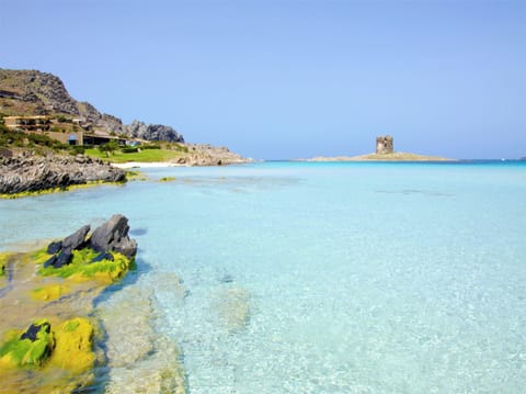 Apartment, 3 Bedrooms, Patio, Garden View | Exterior