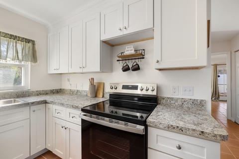 A standard electric stove/oven!