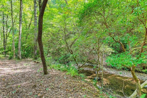 New! 45 minutes to lakepoint. Cabin in Georgia