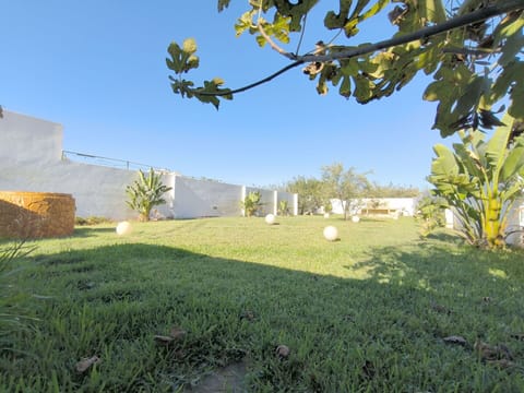 Land Lot, Garden, Landscaping, Lawn, Shade, Yard, Backyard, Hacienda