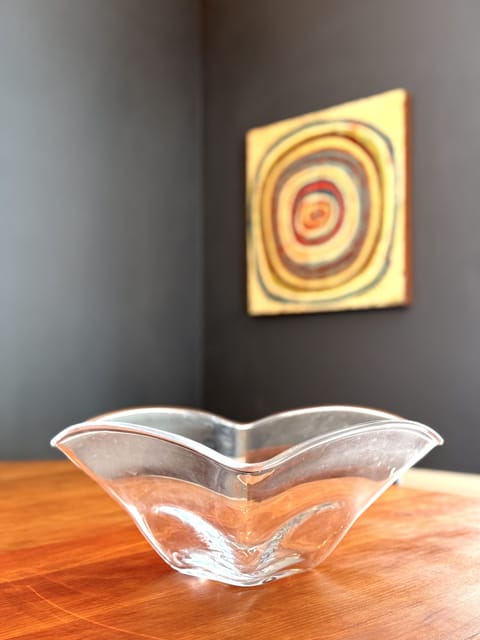 Beautiful home in Burlington's South End, humans and dogs welcome! House in Burlington