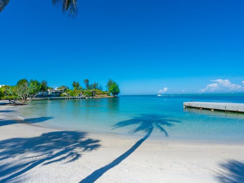 PRIVATE BEACH ACCESS, SPRING-FED LAKE, WALK TO SIESTA KEY VILLAGE! Apartment in Siesta Key