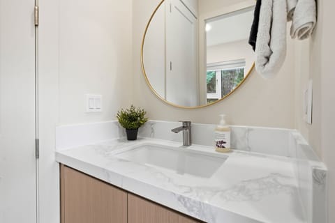 A sink area is located just outside the shower, positioned between the kitchenette and the shower room.