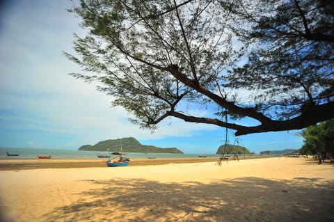 On the beach, kayaking