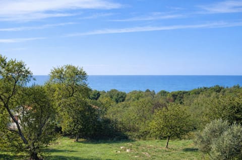 Villa Rose (100541-K1) - Porec House in Poreč