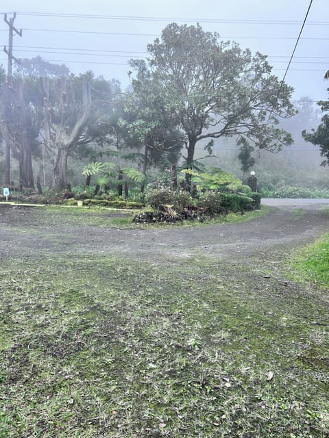 Nene Cottage on Pali'uli Estate by an active Volcano Bed and Breakfast in Volcano