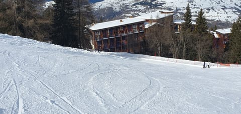 Snow and ski sports
