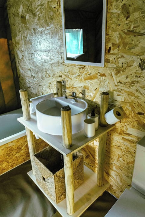 Combined shower/tub, hair dryer, soap, toilet paper