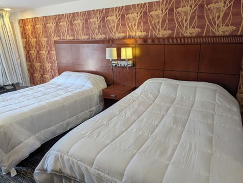 Standard Double Room | Desk, WiFi (free)