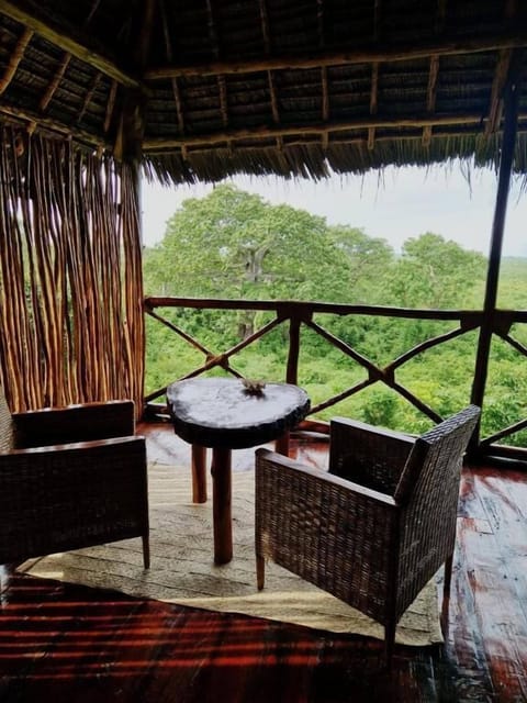 Bungalow, Terrace, Ocean View | Property grounds