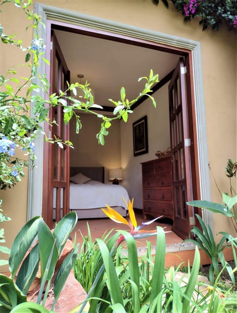 Deluxe Room | Premium bedding, in-room safe, individually decorated