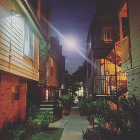 Lovely South Austin Condo. All Essentials Included Apartment in South Congress