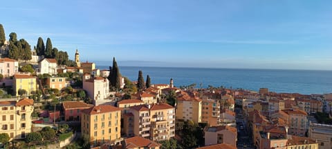 Beautiful and bright apartment with fantastic 180 degree sea views Apartment in Menton