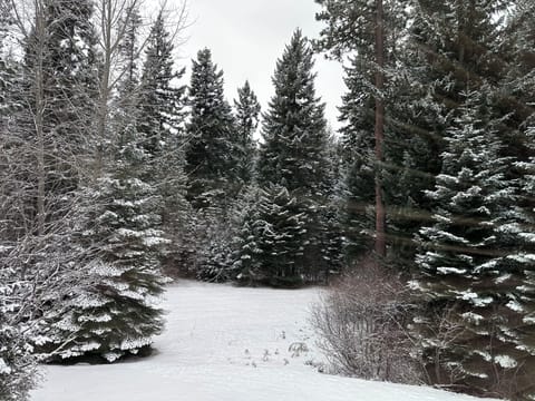 Spacious 6-bedroom estate on 3 acres by Lake Cle Elum w/sauna, hot tub,theater House in Roslyn