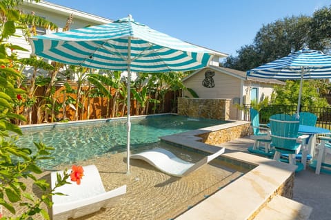 Welcome to Iggy's Oasis!