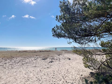 House | Beach