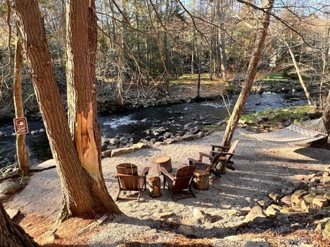 creekside beach—perfect for relaxing, exploring, or doing absolutely nothing