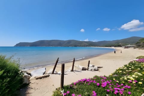 Apartment 'Adriana Bilocale' with Sea View, Wi-Fi and Air Conditioning Apartment in Lacona