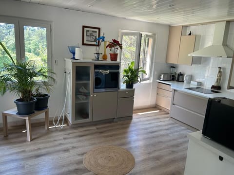 Ideal for vacations with family or friends: semi-detached house 150 m². House in Mougins