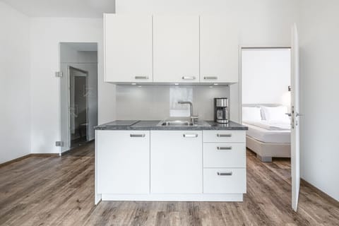 Großzügiges 44 m² Apartment mit Balkon für 2–4 Personen Apartment in Bad Hofgastein