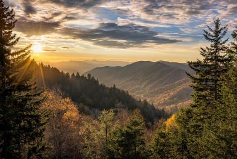 Sunset View