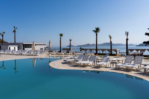 2 outdoor pools, open 10:00 AM to 6:00 PM, free cabanas, pool umbrellas
