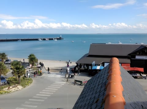 Beach/ocean view