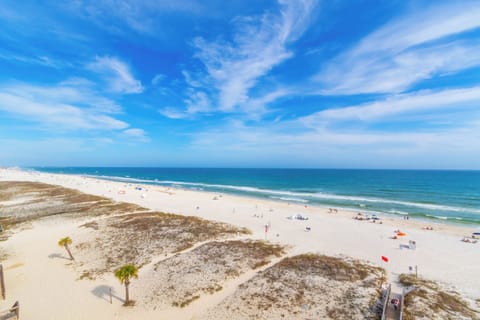 Signature Condo, 3 Bedrooms, Balcony, Beach View | View from room
