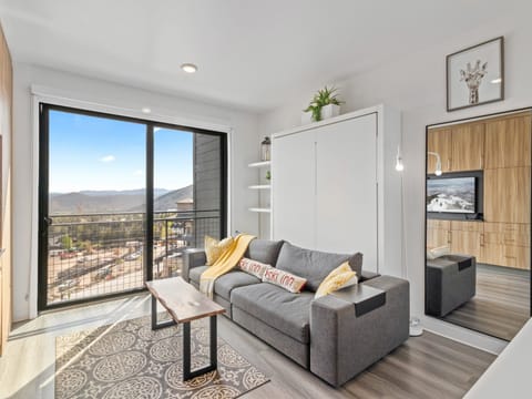 Living Area / Queen Murphy Bed