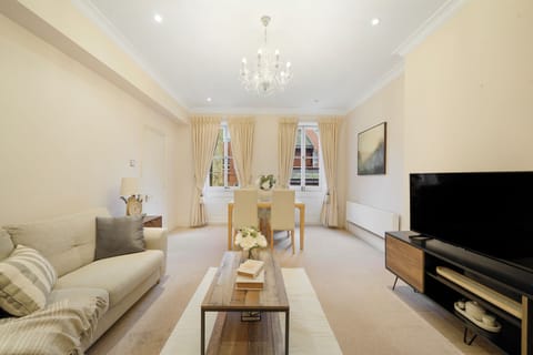Basic Apartment | Living area