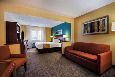 Standard Room, 1 King Bed, Non Smoking | 1 bedroom, premium bedding, desk, blackout drapes