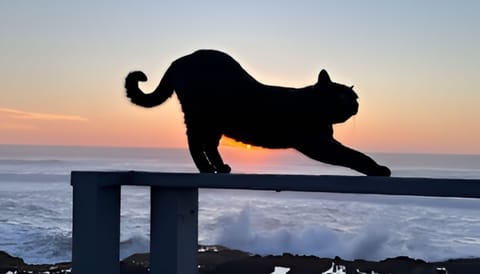 Coastal property features stunning ocean views with dramatic sunset skies creating a perfect backdrop for memorable stays.