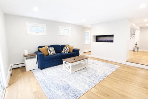 Living room and fireplace