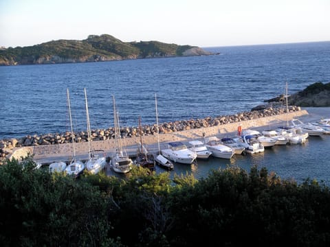 Marina